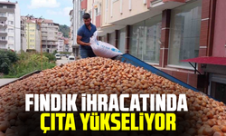 Fındık ihracatında çıta yükseliyor