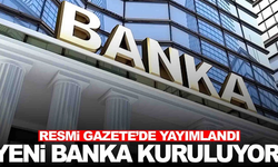 Yeni bir banka kuruluyor, BDDK'dan izin çıktı!