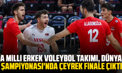 A Milli Erkek Voleybol Takımı, Dünya Şampiyonası'nda çeyrek finale çıktı