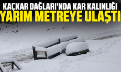 Kaçkar Dağları’nda kar kalınlığı yarım metreye ulaştı