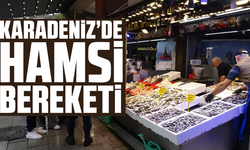 Karadeniz’de Hamsi Bereketi