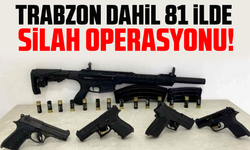 Trabzon dahil 81 ilde silah operasyonu!
