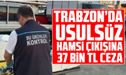 Trabzon’da usulsüz hamsi çıkışına 37 bin TL ceza