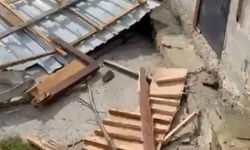 Rize yaylalarında ayı paniği: 20 ev talan edildi