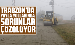 Trabzon’da yayla yollarında sorunlar çözülüyor