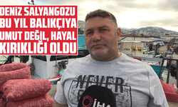 Deniz salyangozu bu yıl balıkçıya umut değil, hayal kırıklığı oldu