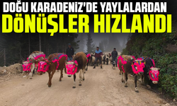 Doğu Karadeniz'de yaylalardan dönüşler hızlandı