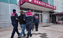 Ordu'da dolandırıcılık operasyonu: 4 tutuklama
