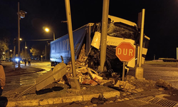 Ordu'da süt yüklü tır ve otomobil çarpıştı: 2 yaralı