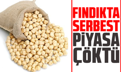 Fındıkta Serbest Piyasa Çöktü