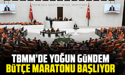 TBMM’de yoğun hafta: Komisyon toplantıları ve bütçe görüşmeleri gündemde