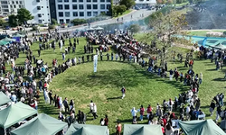 Trabzon'da 2 saatte 3 ton hamsi yediler