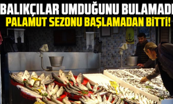 Balıkçılar umduğunu bulamadı: Palamut sezonu başlamadan bitti!