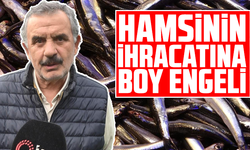 Hamsinin ihracatına boy engeli
