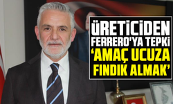 Üreticiden Ferrero'ya tepki: "Amaç ucuza fındık almak"