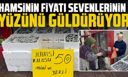 Hamsinin fiyatı sevenlerinin yüzünü güldürüyor