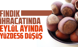 Fındık ihracatında Eylül ayında yüzde 56 düşüş