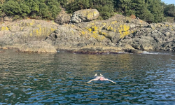 Kasımda deniz keyfi: Giresun Valisi Serdengeçti, adada yüzdü