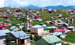 Bektaş Yaylası referandumla Yavuzkemal Beldesi'ne bağlandı