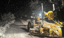 Ordu-Sivas kara yolu kar yağışı nedeniyle ulaşıma kapandı