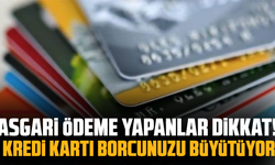Asgari ödeme yapanlar dikkat! Kredi kartı borcunuzu büyütüyor