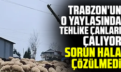 Trabzon’un o yaylasında tehlike çanları çalıyor: Sorun hala çözülmedi