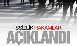 TÜİK açıkladı: İşsizlik rakamları belli oldu