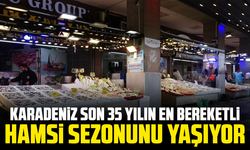 Karadeniz son 35 yılın en bereketli hamsi sezonunu yaşıyor