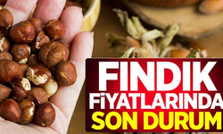 Fındık fiyatları tekrar yükselişe geçti