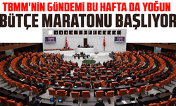 TBMM'nin gündemi bu hafta da yoğun: Bütçe maratonu başlıyor