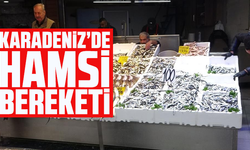 Karadeniz’de hamsi bereketi yaşanıyor