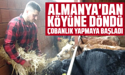 Almanya'dan köyüne döndü, çobanlık yapmaya başladı