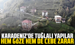 Karadeniz'de tuğlalı yapılar hem göze hem de cebe zarar