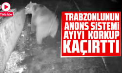 Trabzonlunun anons sistemi ayıyı korkup kaçırttı