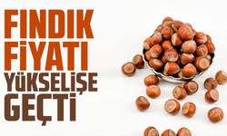 Fındık fiyatı yükselişe geçti