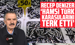 Recep Denizer: "Hamsi Türk karasularını terk etti"