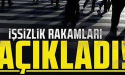 Kasım ayı işsizlik rakamları açıklandı
