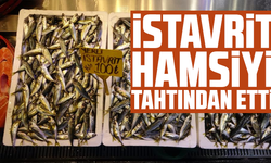 İstavrit hamsiyi tahtından etti