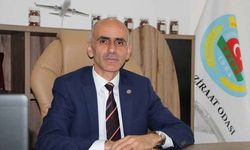 Fındık ihracatındaki düşüş rekolte kaybına bağlandı