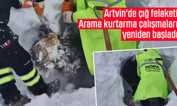 Artvin'de çığ felaketi: Arama kurtarma çalışmaları yeniden başladı