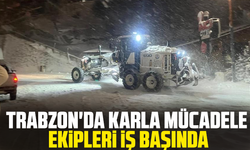 Trabzon'da karla mücadele ekipleri iş başında