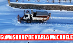 Gümüşhane'de karla mücadele