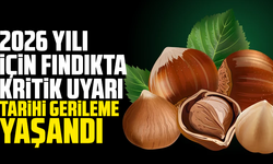 2026 yılı için fındıkta kritik uyarı: Tarihi gerileme yaşandı