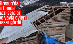 Giresun'da fırtınada bazı seralar ve yayla evleri hasar gördü