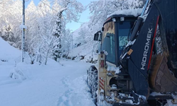 Rize’de 16 köy yolu kara teslim oldu