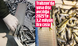 Trabzon’da yasa dışı avcılığa 2025’te 3,2 milyon lira ceza