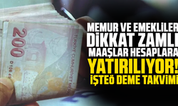Memur ve emekliler dikkat zamlı maaşlar hesaplara yatırılıyor! İşte ödeme takvimi