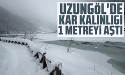 Uzungöl'de kar kalınlığı 1 metreyi aştı