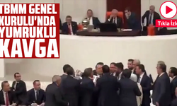 TBMM Genel Kurulu'nda yumruklu kavga