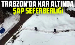 Trabzon'da Kar altında şap seferberliği